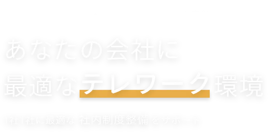 厚労省・総務省・東京都 からも表彰 あなたの会社に最適なテレワーク環境 1社1社に最適な社内制度整備をサポート
